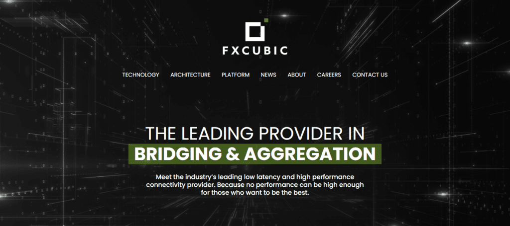 FXCubic Bridge